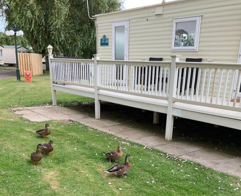 Appartamento Springs Southview Skegness Winthorpe  Esterno foto